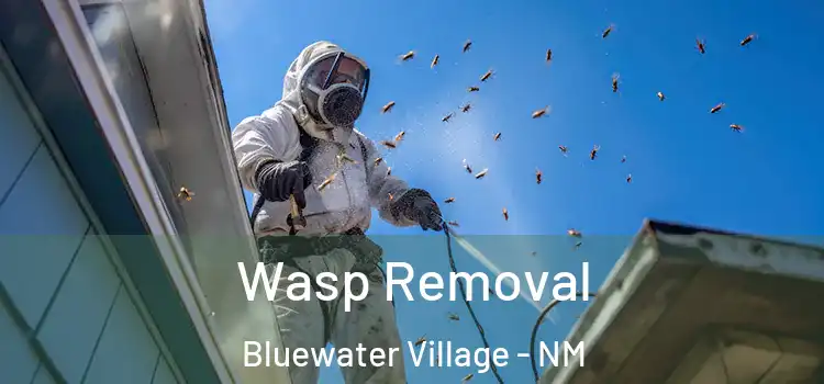 Wasp Removal Bluewater Village - NM