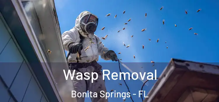 Wasp Removal Bonita Springs - FL