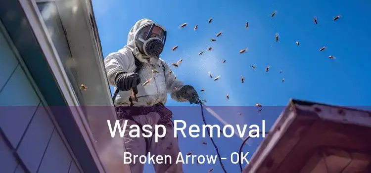  Wasp Removal Broken Arrow - OK