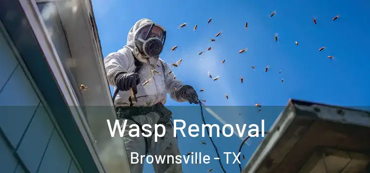  Wasp Removal Brownsville - TX