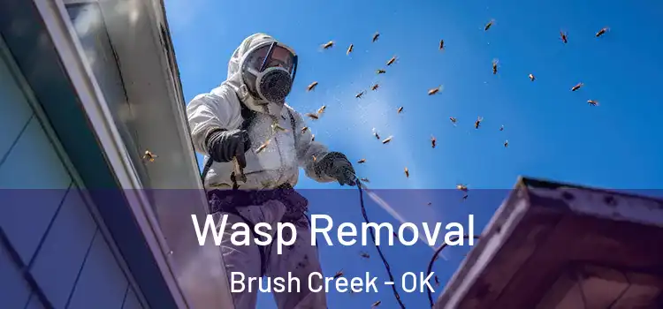  Wasp Removal Brush Creek - OK