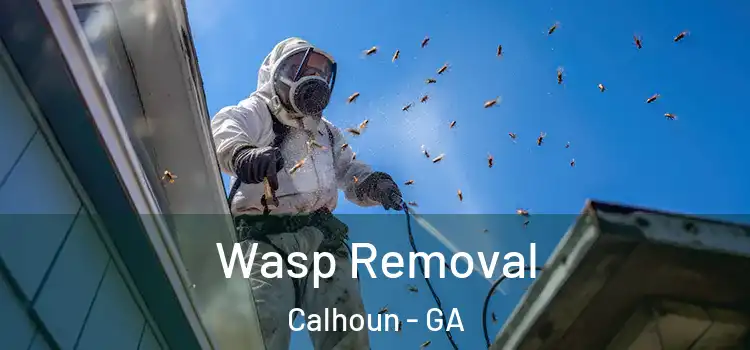  Wasp Removal Calhoun - GA