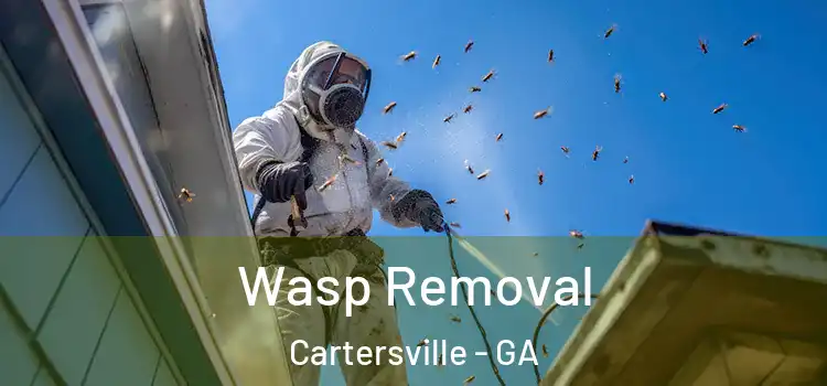  Wasp Removal Cartersville - GA