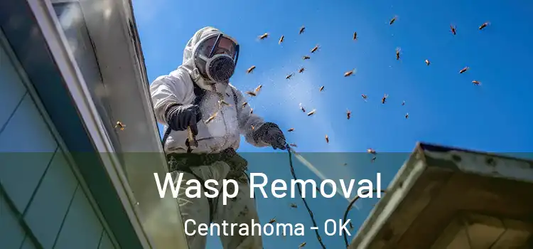  Wasp Removal Centrahoma - OK