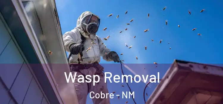 Wasp Removal Cobre - NM