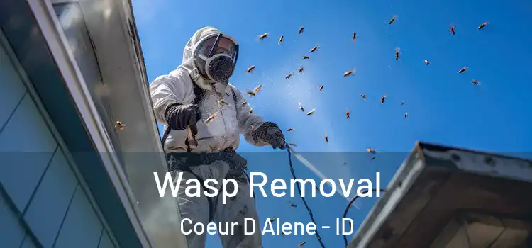  Wasp Removal Coeur D Alene - ID
