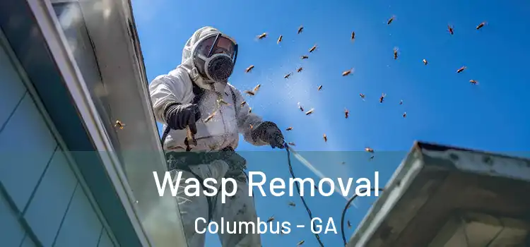  Wasp Removal Columbus - GA