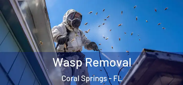 Wasp Removal Coral Springs - FL