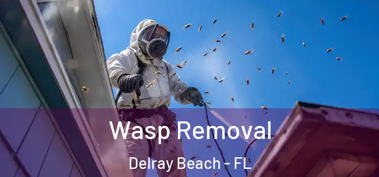 Wasp Removal Delray Beach - FL