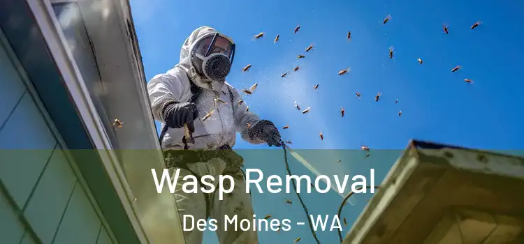  Wasp Removal Des Moines - WA