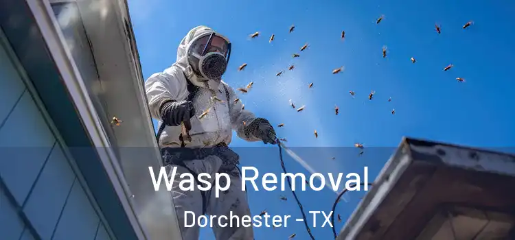  Wasp Removal Dorchester - TX