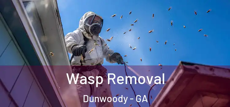  Wasp Removal Dunwoody - GA