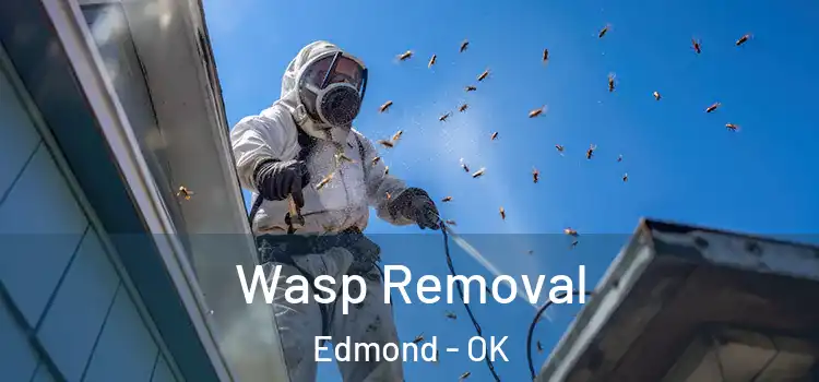  Wasp Removal Edmond - OK