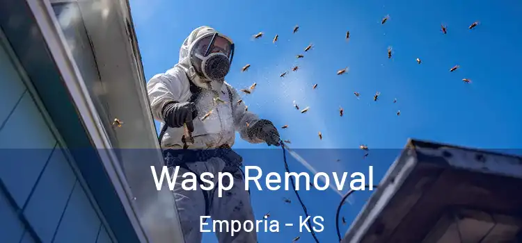  Wasp Removal Emporia - KS