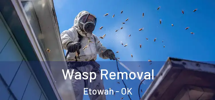  Wasp Removal Etowah - OK