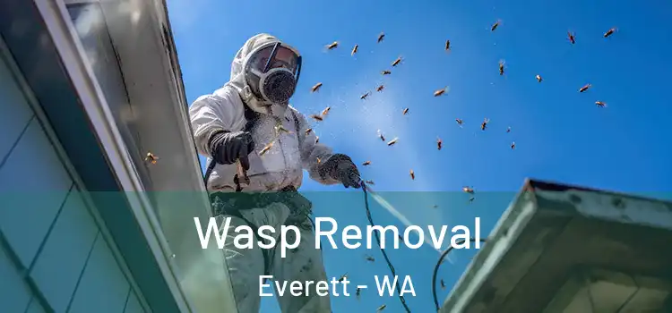  Wasp Removal Everett - WA