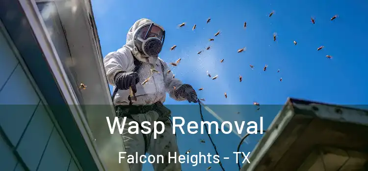  Wasp Removal Falcon Heights - TX