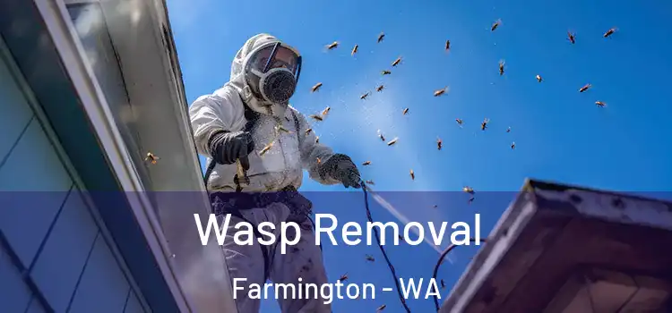  Wasp Removal Farmington - WA