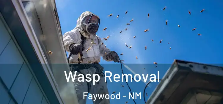 Wasp Removal Faywood - NM