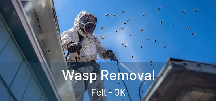  Wasp Removal Felt - OK
