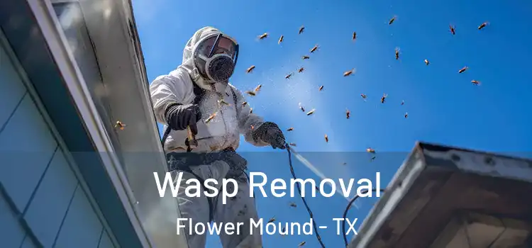  Wasp Removal Flower Mound - TX