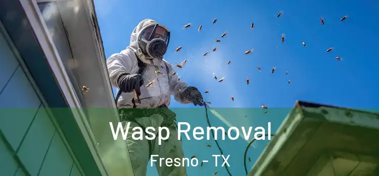  Wasp Removal Fresno - TX