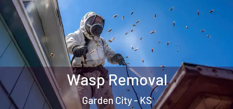  Wasp Removal Garden City - KS