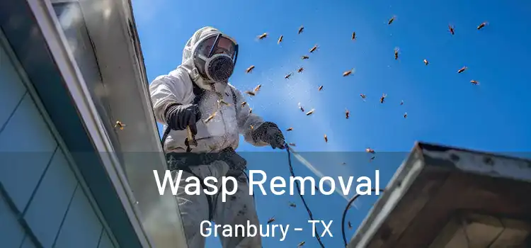  Wasp Removal Granbury - TX