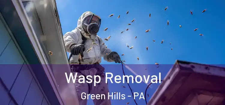 Wasp Removal Green Hills - PA