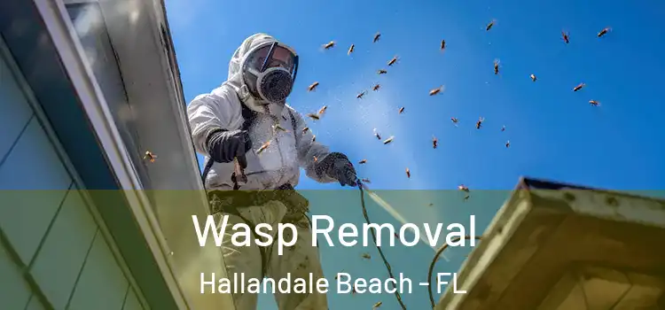  Wasp Removal Hallandale Beach - FL