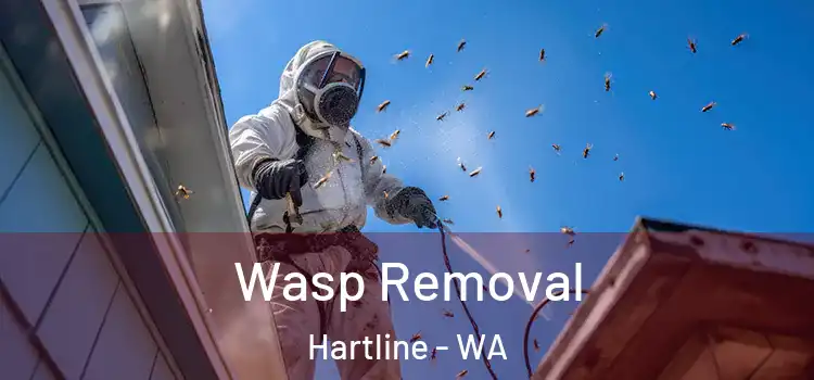  Wasp Removal Hartline - WA