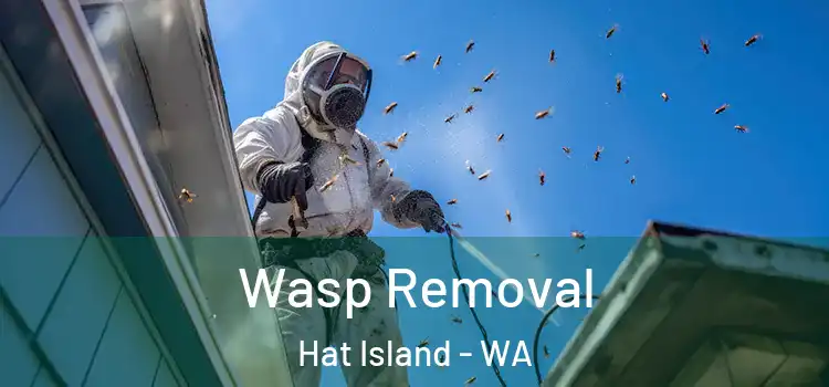  Wasp Removal Hat Island - WA