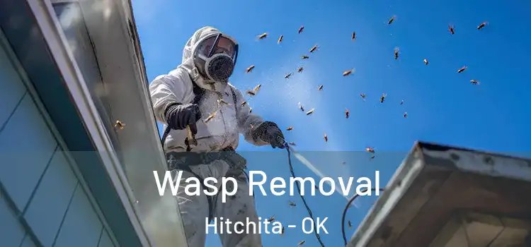 Wasp Removal Hitchita - OK