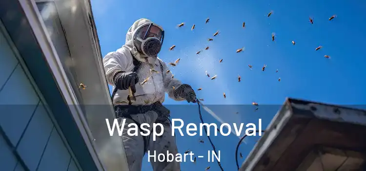 Wasp Removal Hobart - IN