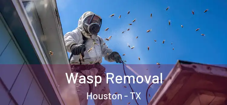 Wasp Removal Houston - TX
