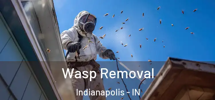  Wasp Removal Indianapolis - IN