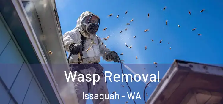  Wasp Removal Issaquah - WA
