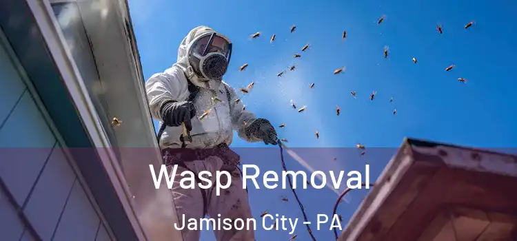 Wasp Removal Jamison City - PA