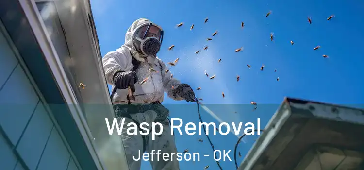  Wasp Removal Jefferson - OK