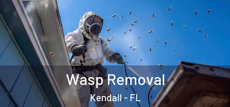  Wasp Removal Kendall - FL