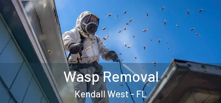 Wasp Removal Kendall West - FL
