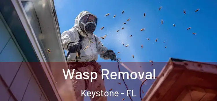 Wasp Removal Keystone - FL
