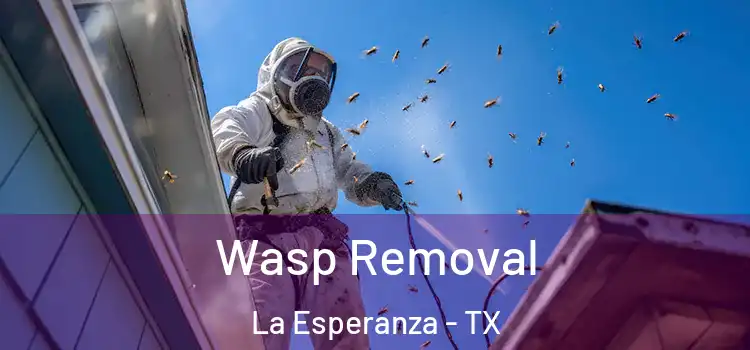  Wasp Removal La Esperanza - TX