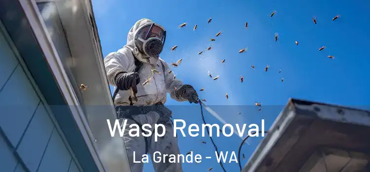  Wasp Removal La Grande - WA