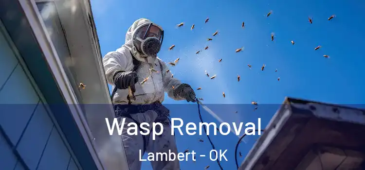  Wasp Removal Lambert - OK