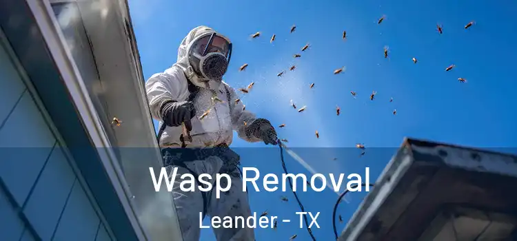  Wasp Removal Leander - TX