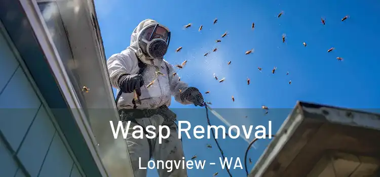  Wasp Removal Longview - WA