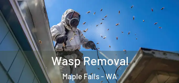  Wasp Removal Maple Falls - WA