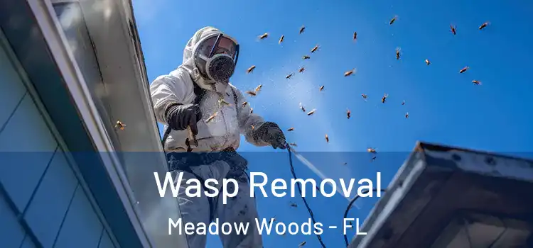  Wasp Removal Meadow Woods - FL