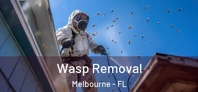 Wasp Removal Melbourne - FL